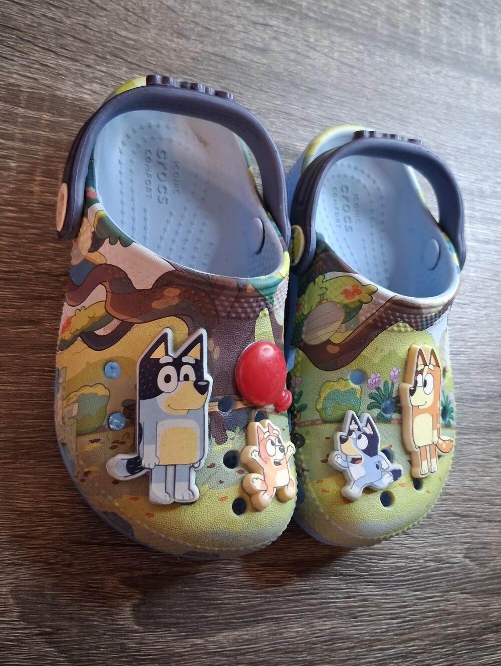 9C Crocs Toddler Unisex 9C Bluey Crocs